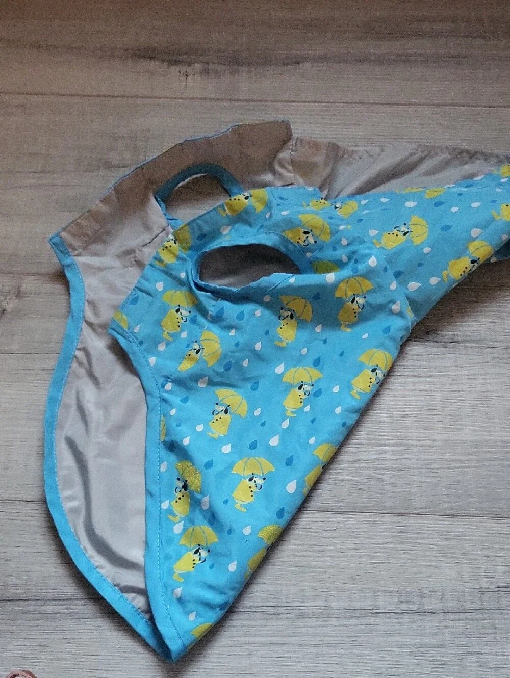 Dog Blue And Yellow Rain Poncho